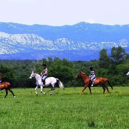 Apartman Josephine 2 *