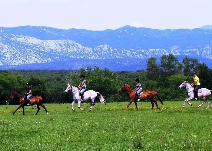 아파트 Josephine 2 *